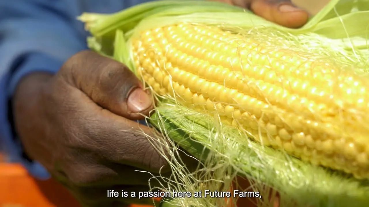 Future Farms, Corporate film